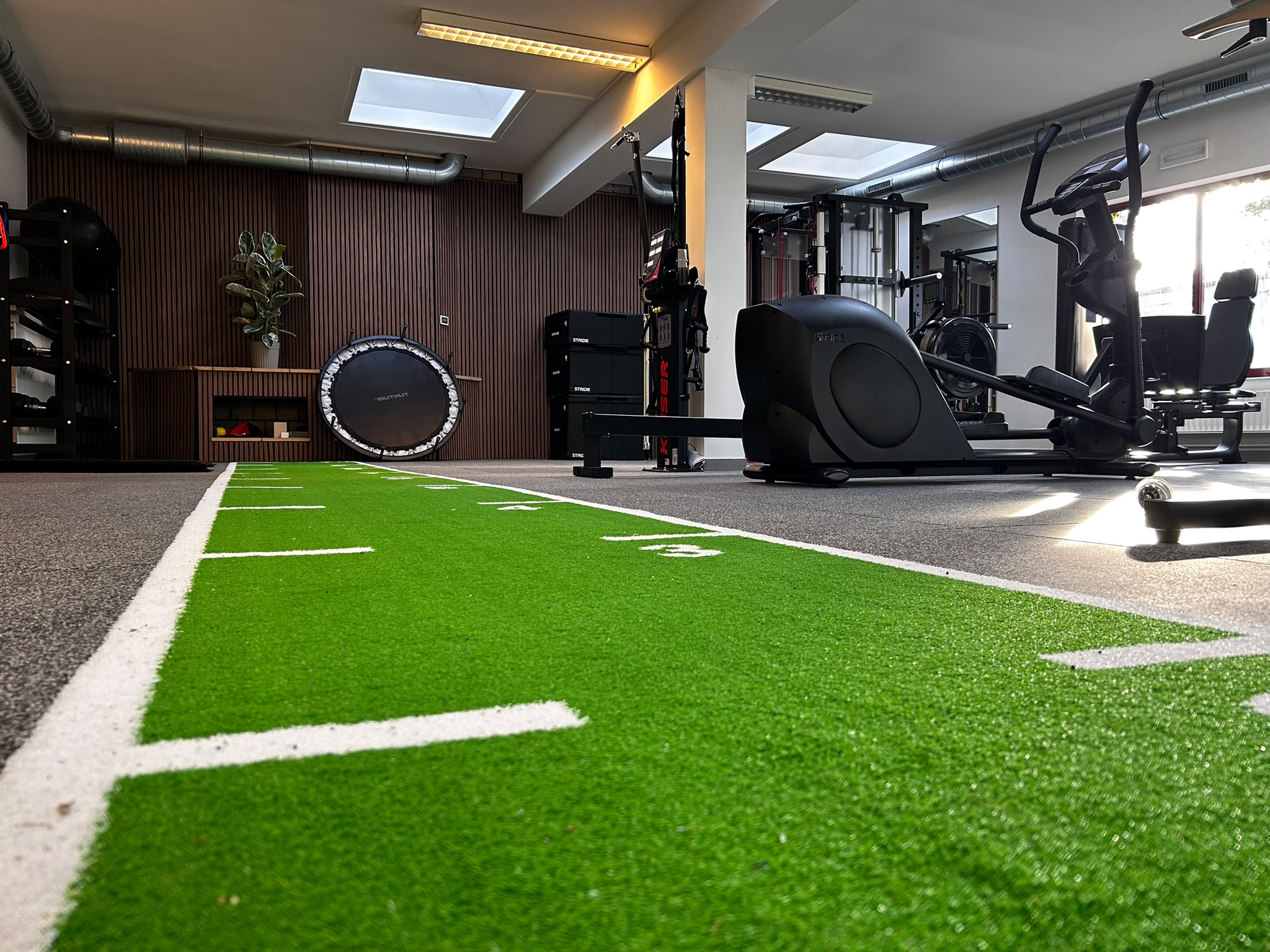 De APEX-gym met een groene trainingsstrook en fitnessapparatuur